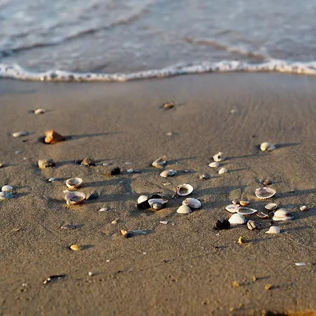 Daire Comfortable With Pool *